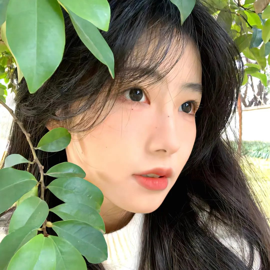 女主播风云